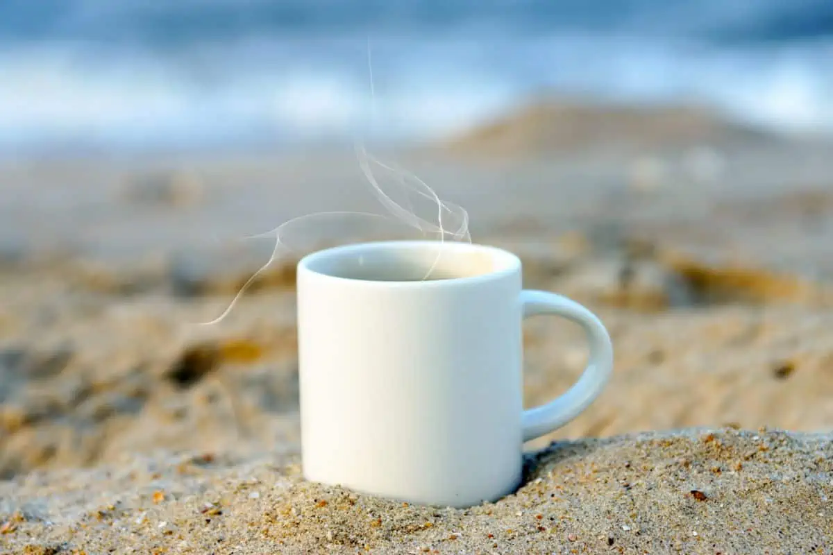 best coffee in newport beach