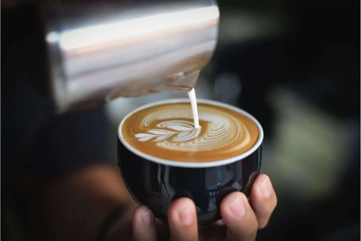 15 Best Coffee Shops & Cafés In Raleigh, North Carolina (1)