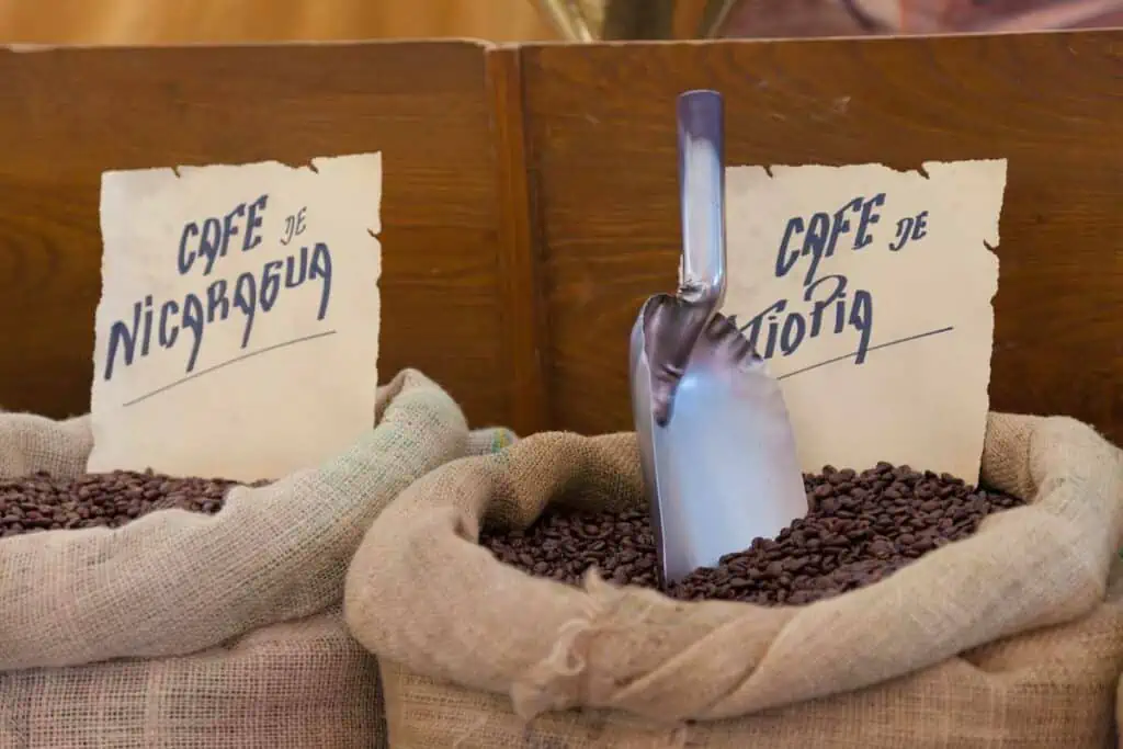 where are coffee beans grown
