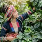 The World's Leading Coffee-Producing Countries