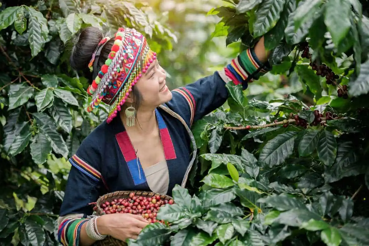 The World’s Leading Coffee-Producing Countries