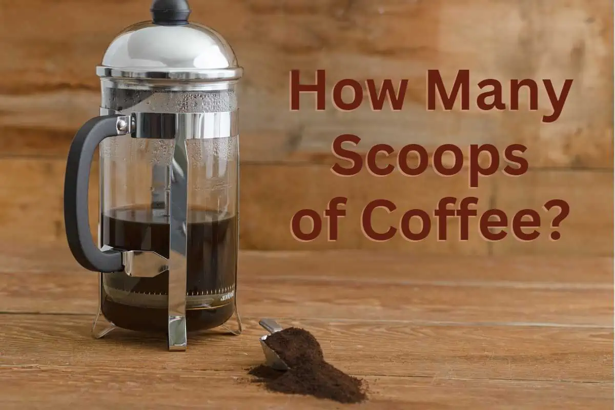 How many scooops of coffee for 12 cups