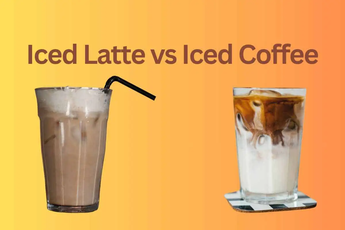 Iced Latte vs Iced Coffee: They are the same aren’t they?
