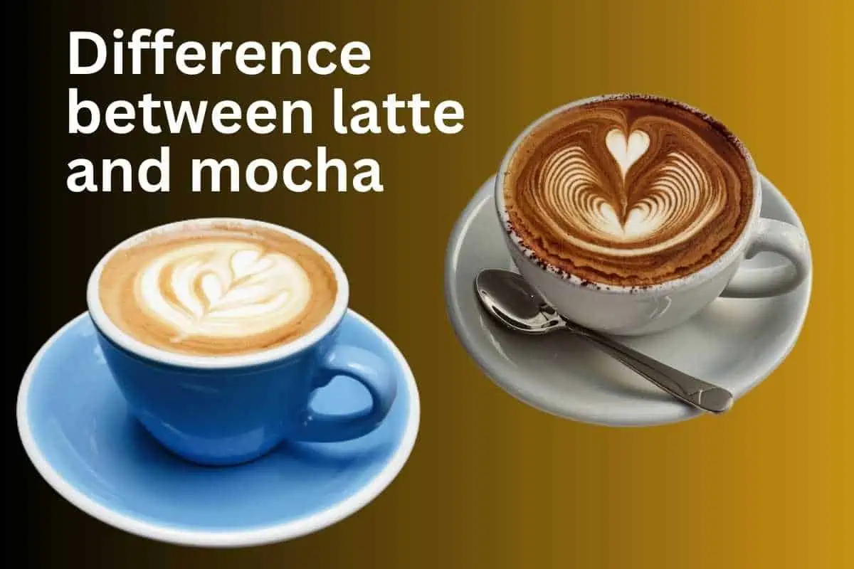 difference between latte and mocha