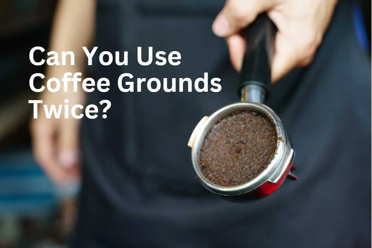 Can You Use Coffee Grounds Twice