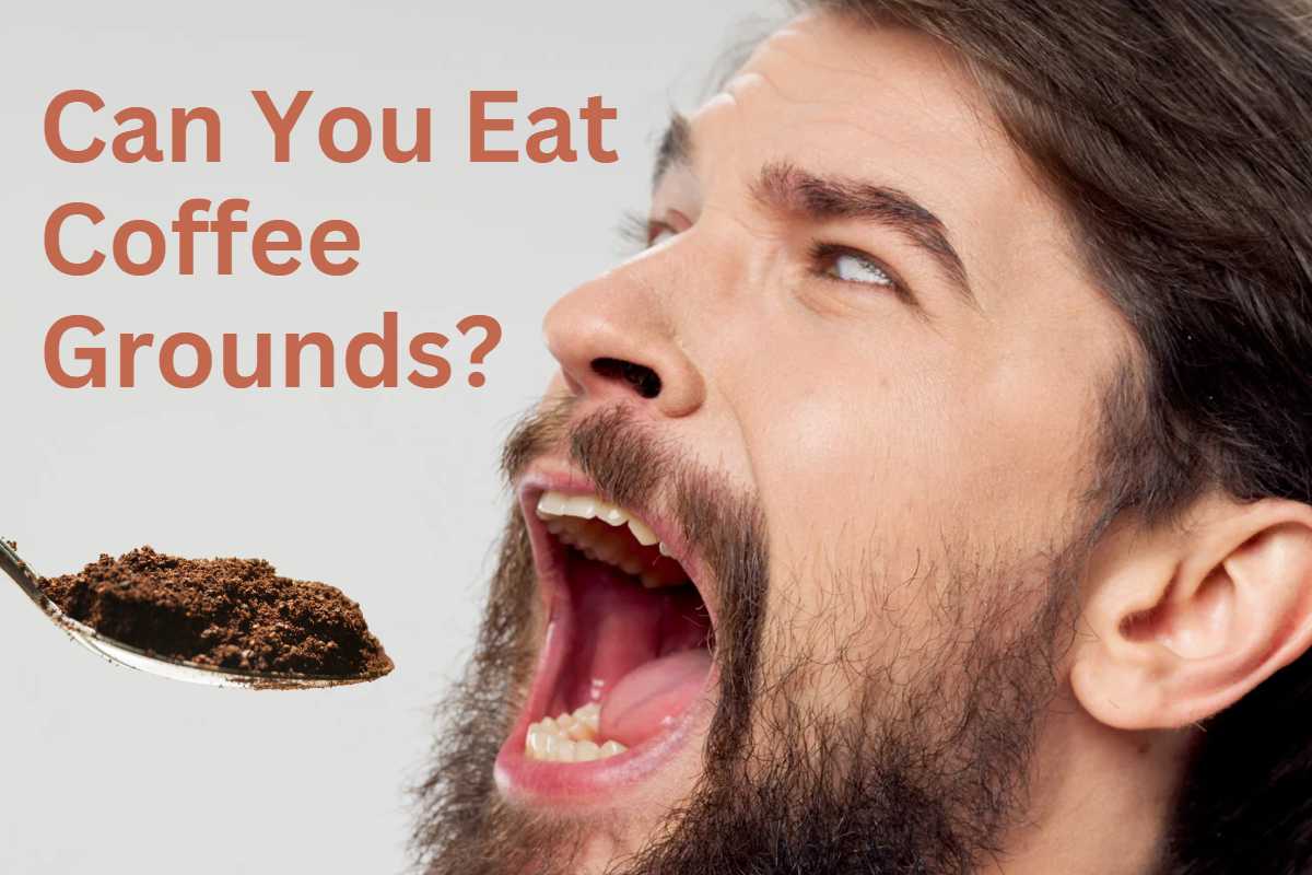 Grounds for Indigestion? The Risks and Rewards of Eating Coffee Grounds