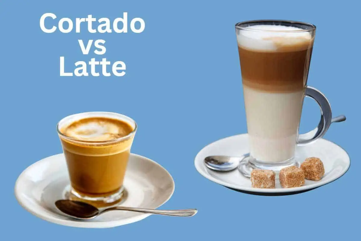 Cortado vs Latte: Which One Should You Order?