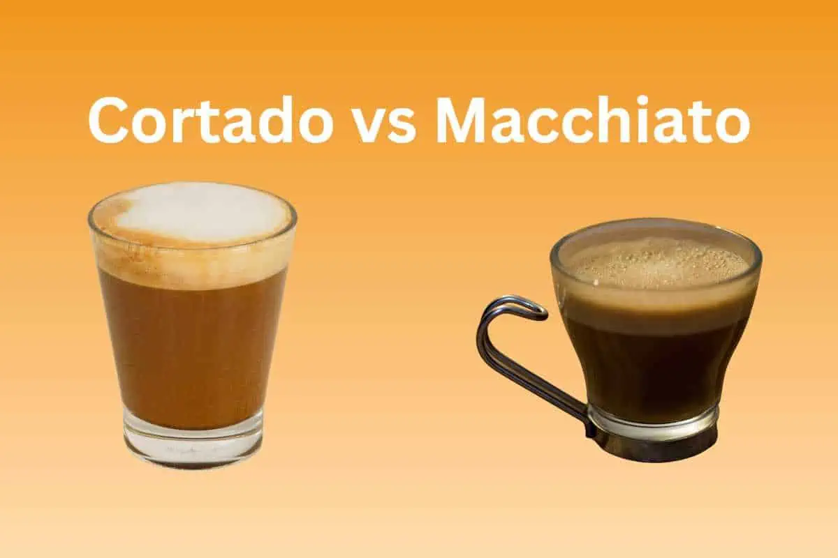 Cortado vs Macchiato: Uncovering the Key Differences