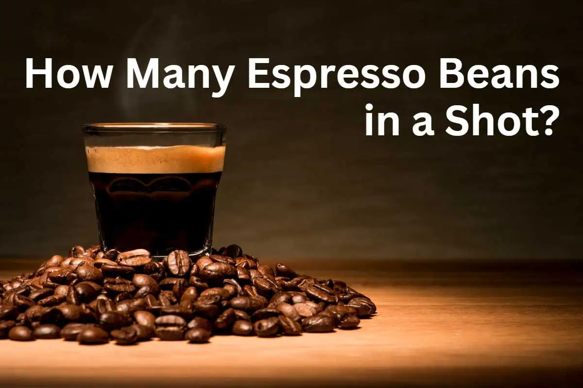 How Many Espresso Beans in a Shot