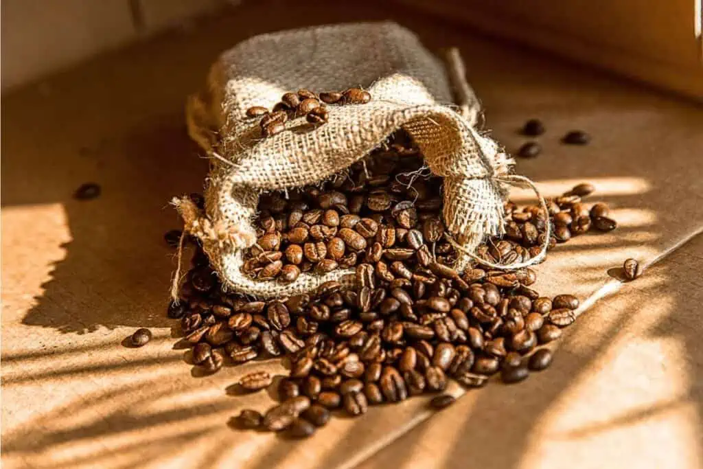 How much caffeine in one coffee bean