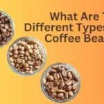 Understanding the Types of Coffee Beans and Their Unique Flavors