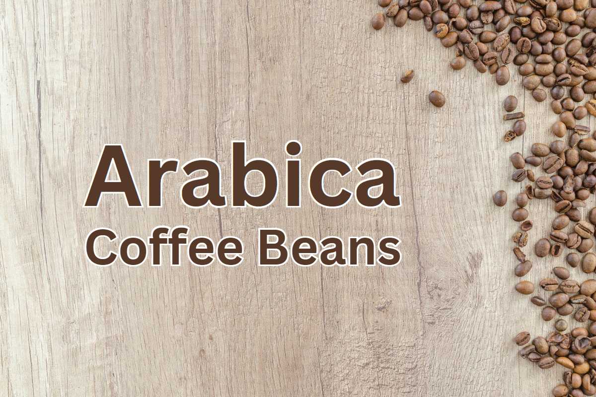 Arabica Coffee Beans: Your Guide to Flavorful Brews