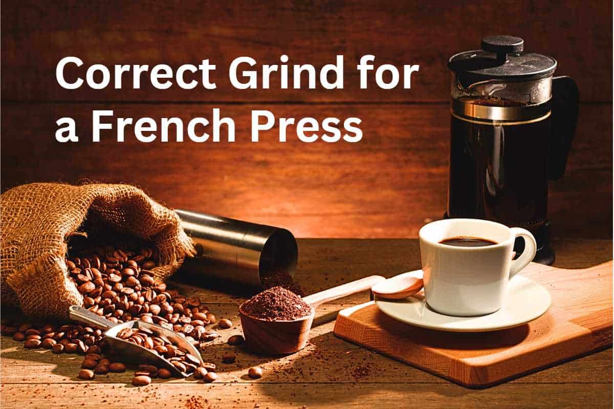 What is the Correct French Press Grind Size: Your Quick Guide