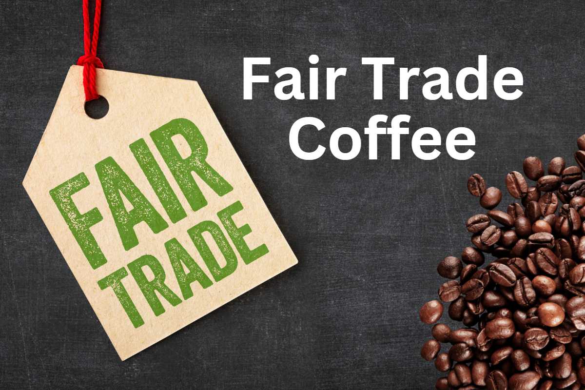 Fair Trade Coffee: Discover Its Impact on Farmers and Environment