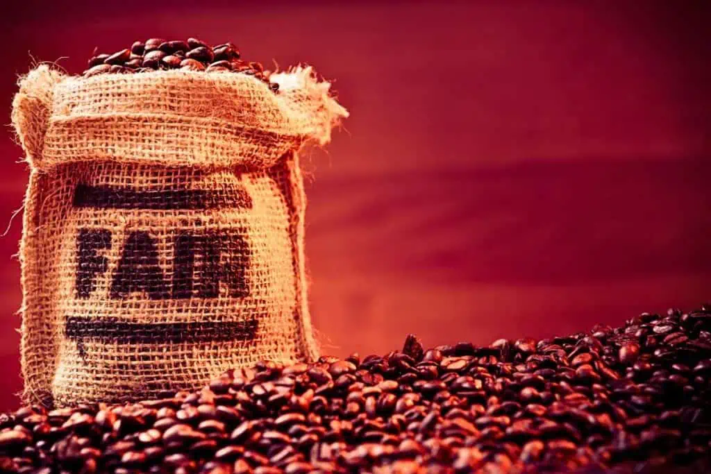 organic fair trade coffee