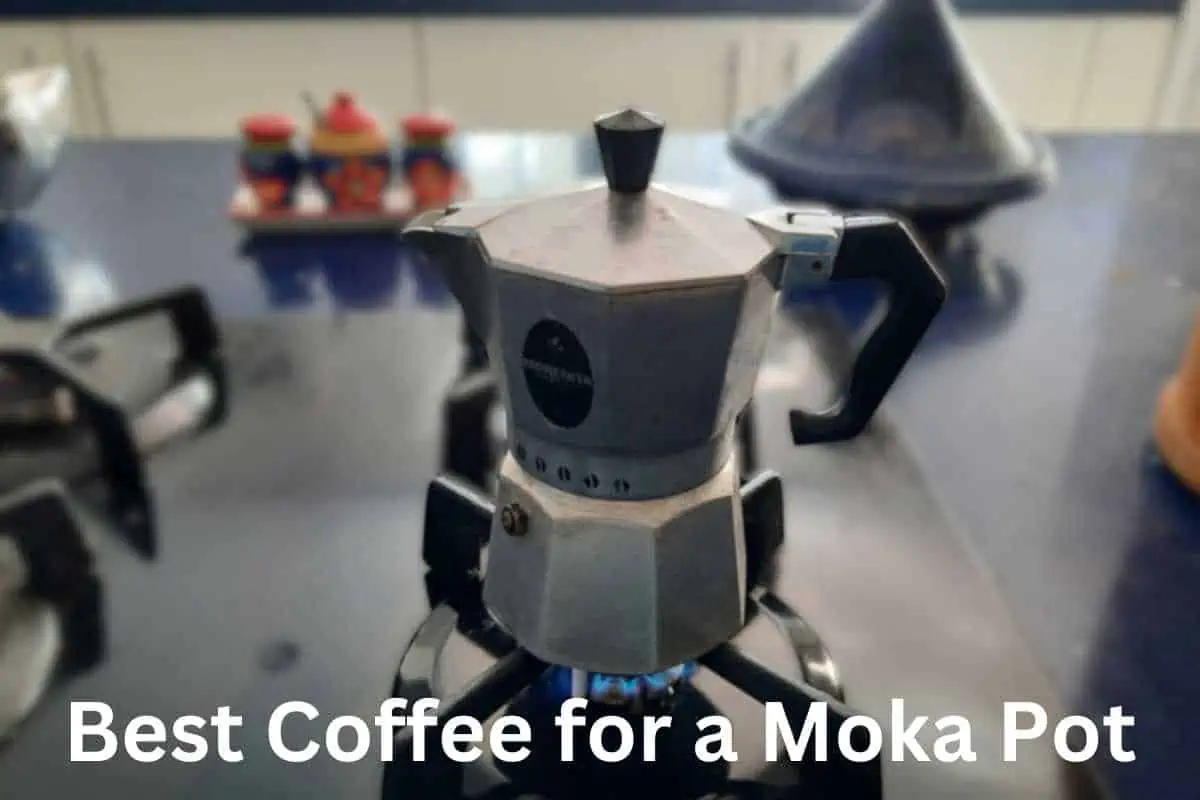 Best Coffee for a Moka Pot: Tips and Recommendations
